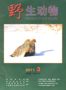 野生動(dòng)物雜志