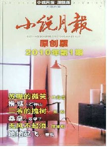小說月報(bào)·原創(chuàng)版雜志