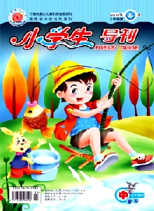 小學(xué)生導(dǎo)刊·中年級(jí)雜志