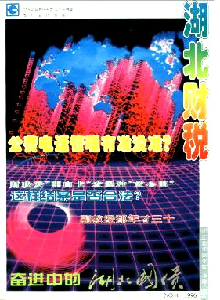 湖北財(cái)稅·理論版雜志
